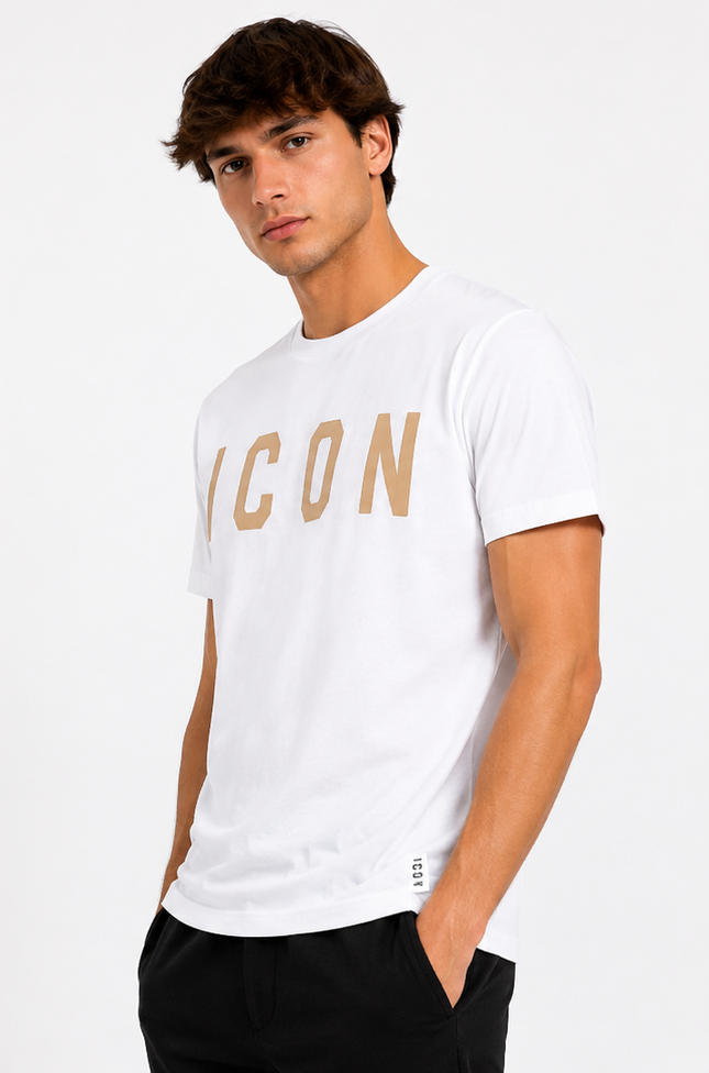 T-shirt icon